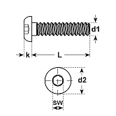 Linsenschrauben Unbrako® I-6-Kt. sw 10.9 
