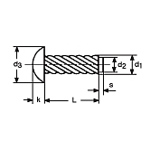 Hammerschrauben Typ U Inox A2 