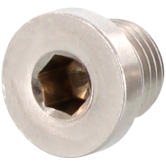 Verschluss-Schrauben I-6-Kt. INOX A4 DIN 908 