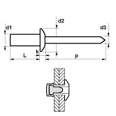 Rivetti a strappo MFX 1231 t. tonda piatt allu/acc 