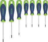 Set di cacciaviti NERIOX per TORX 