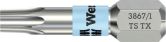 Lame WERA STAINLESS pour TORX 