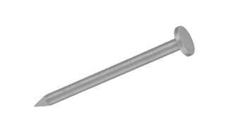 Spine