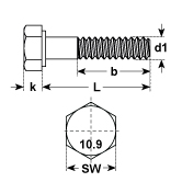 Vis à tête six pans nickelé chimiquement DIN 931 1 0.9
